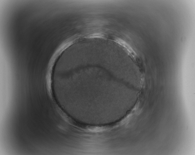 X0000099560293200805231517