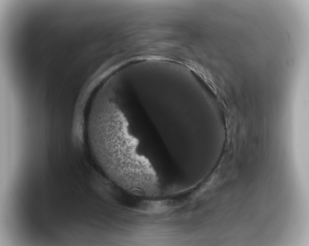 X0000099560295200805231517