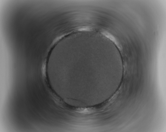 X0000099560297200805231517