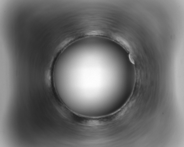 X0000099560298200805231517