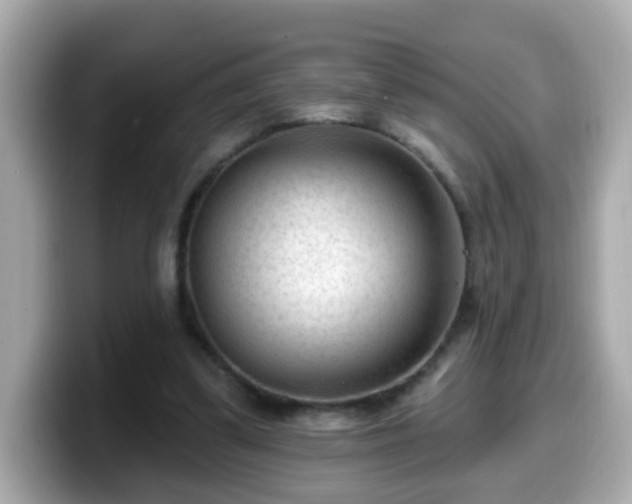 X0000099560299200805231517