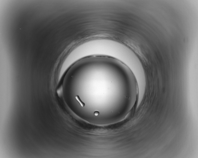 X0000099560300200805231517