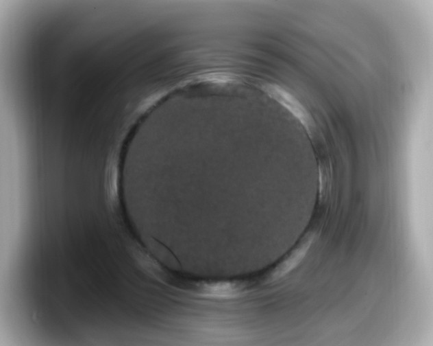 X0000099560301200805231517