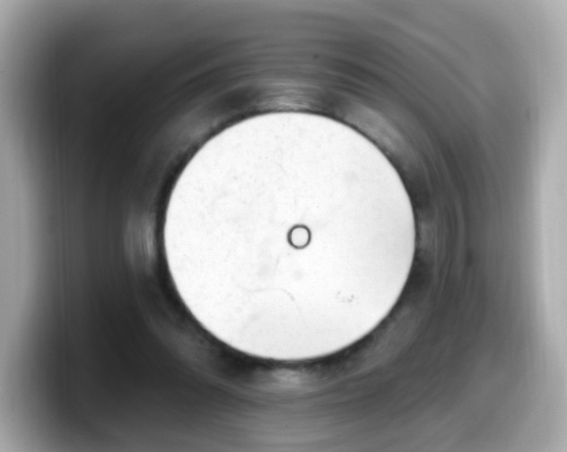 X0000099560302200805231517