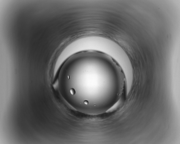 X0000099560304200805231517