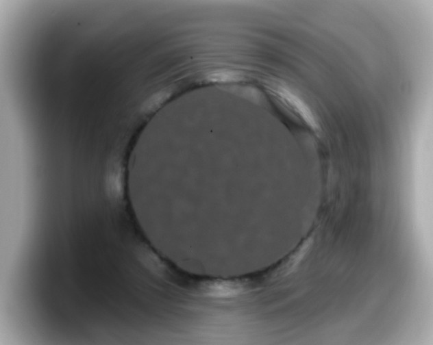 X0000099560305200805231517