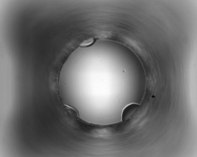 X0000099560307200805231517