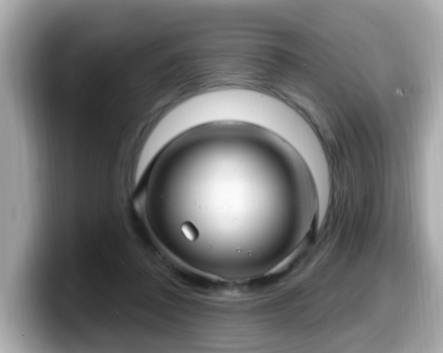 X0000099560308200805231517