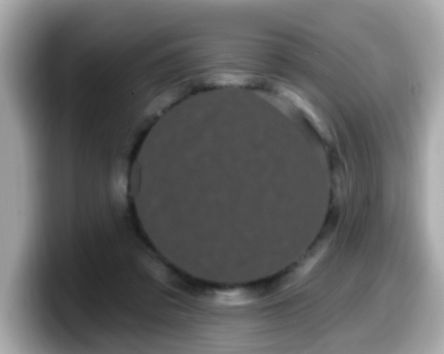 X0000099560309200805231517