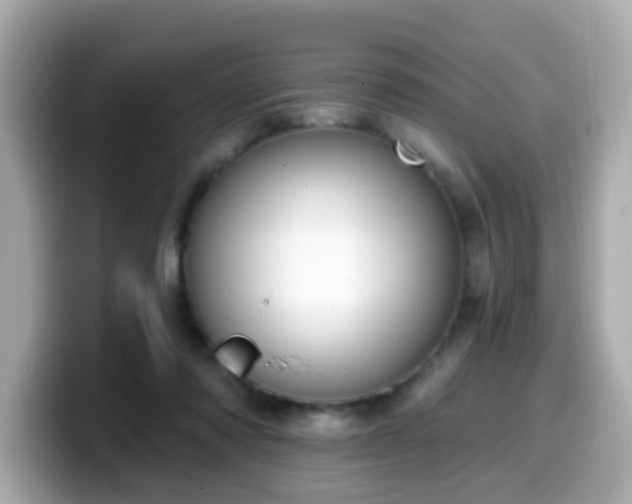 X0000099560310200805231517