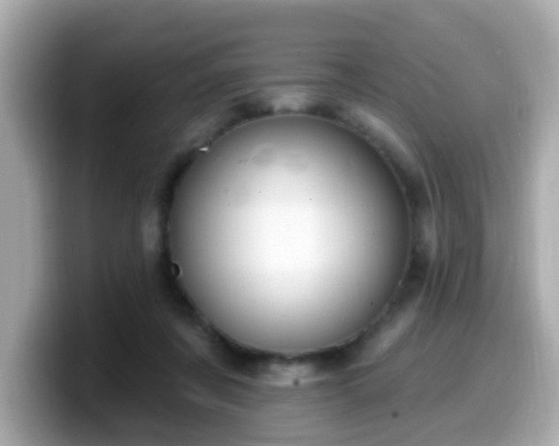 X0000099560311200805231517