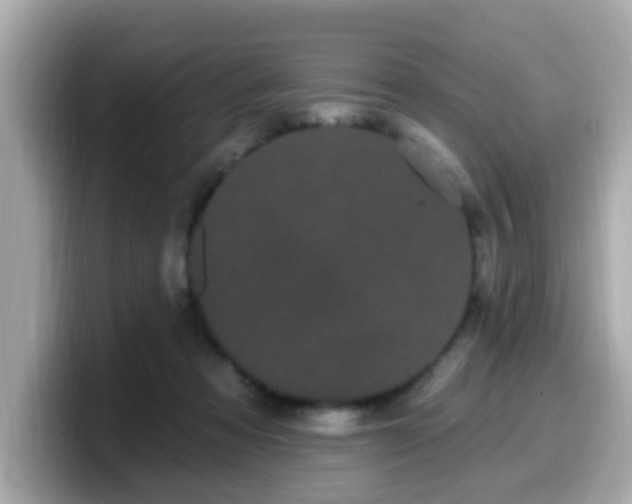 X0000099560313200805231517