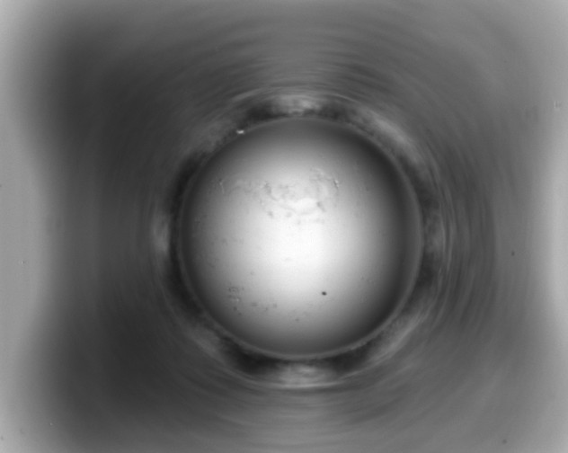 X0000099560315200805231517