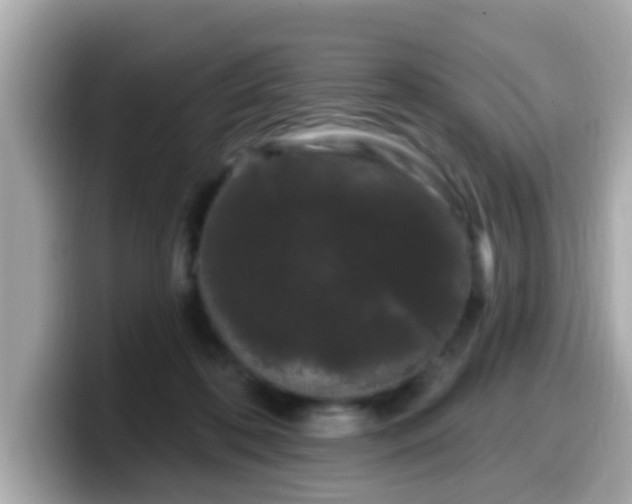 X0000099560316200805231517