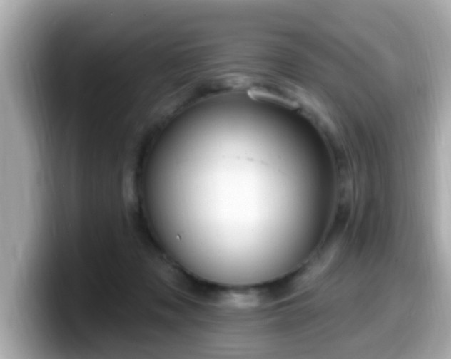 X0000099560317200805231517