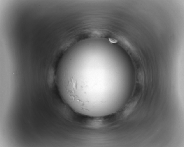 X0000099560318200805231517