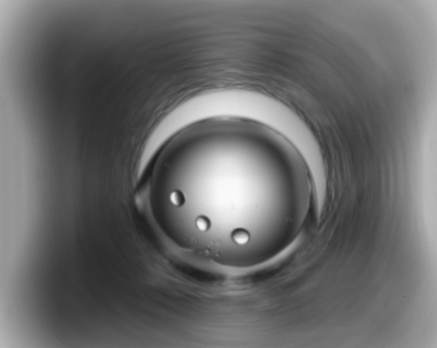 X0000099560320200805231517