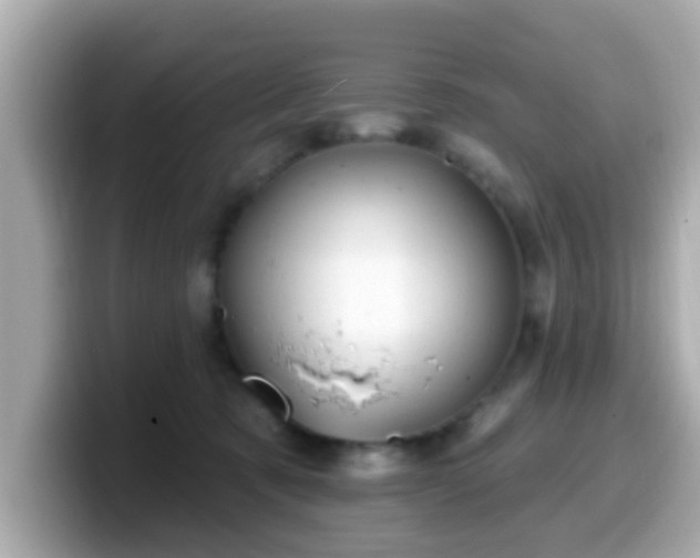 X0000099560321200805231517