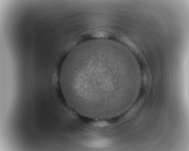 X0000099560322200805231517