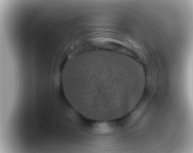 X0000099560325200805231517