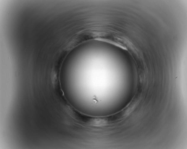 X0000099560327200805231517