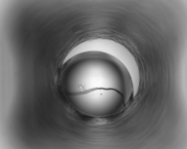 X0000099560328200805231517