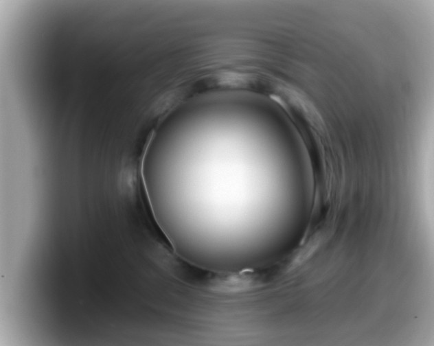 X0000099560329200805231517