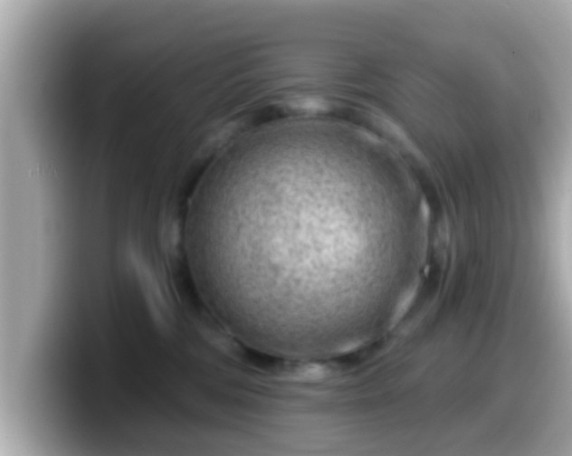 X0000099560330200805231517