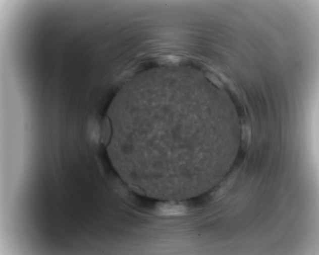 X0000099560331200805231517