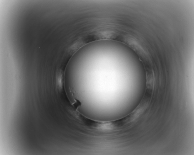 X0000099560334200805231517