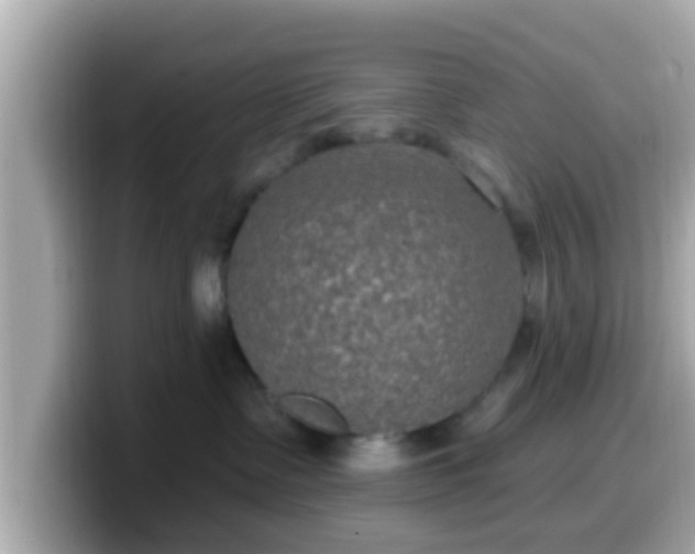 X0000099560335200805231517