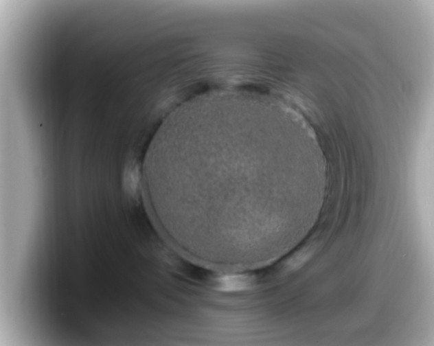 X0000099560336200805231517