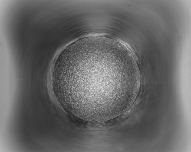 X0000099560337200805231516