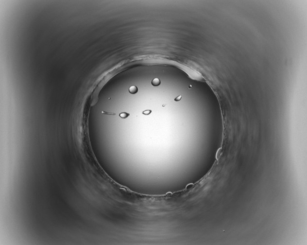 X0000099560338200805231516