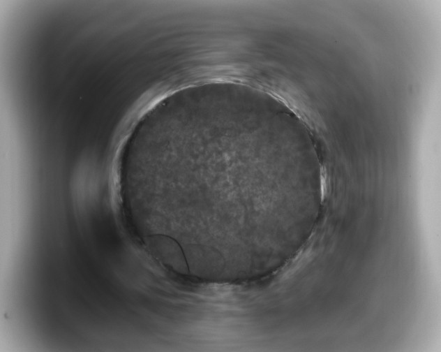 X0000099560339200805231516