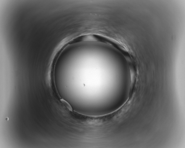 X0000099560340200805231516