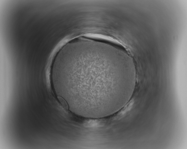 X0000099560341200805231516