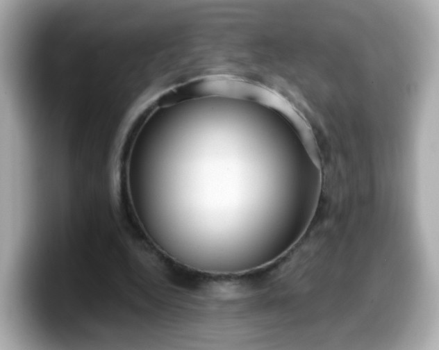 X0000099560344200805231516