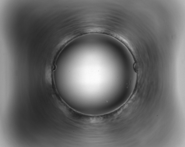 X0000099560345200805231516