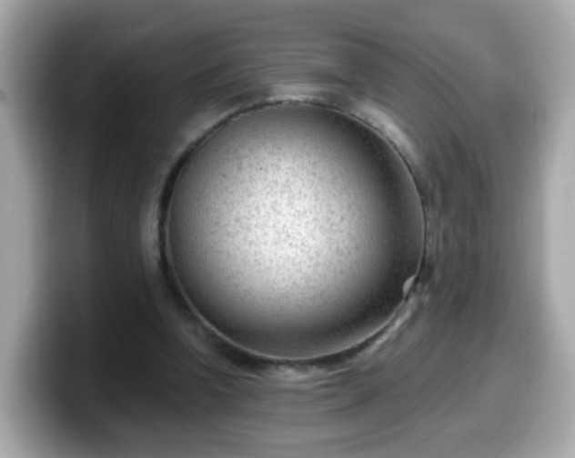 X0000099560346200805231516