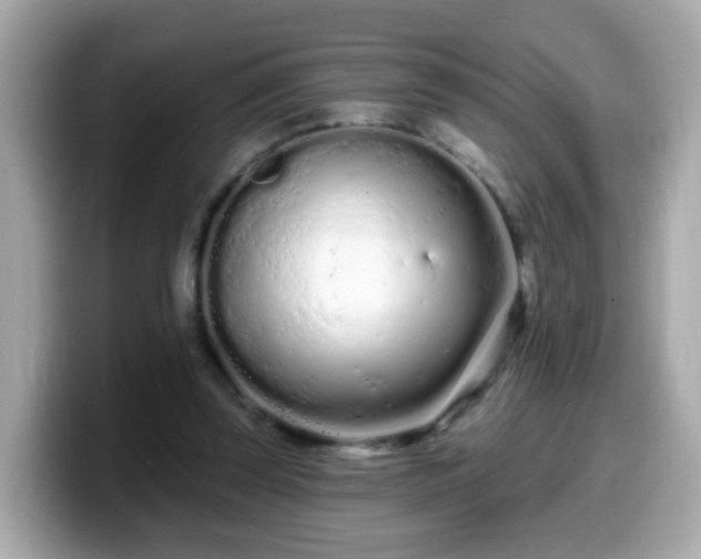 X0000099560347200805231516