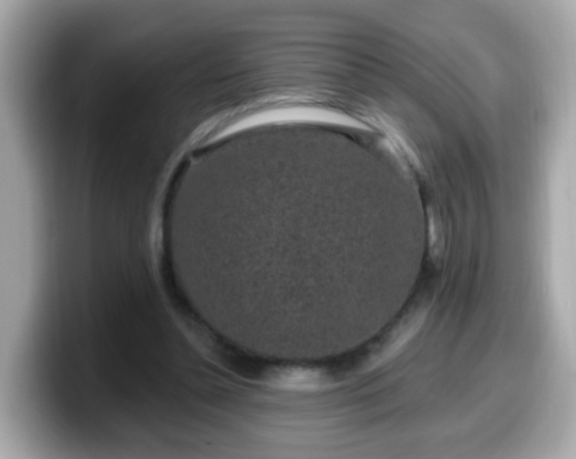 X0000099560348200805231516