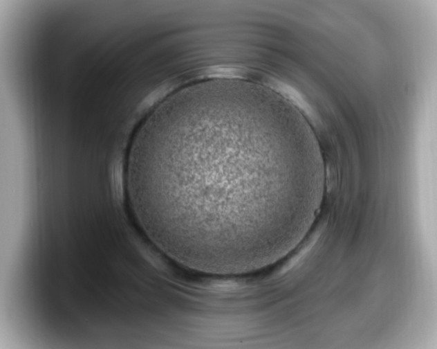 X0000099560349200805231516