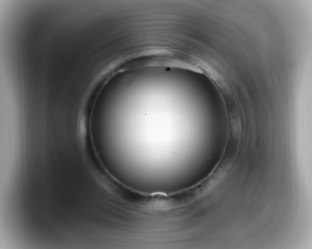 X0000099560350200805231516