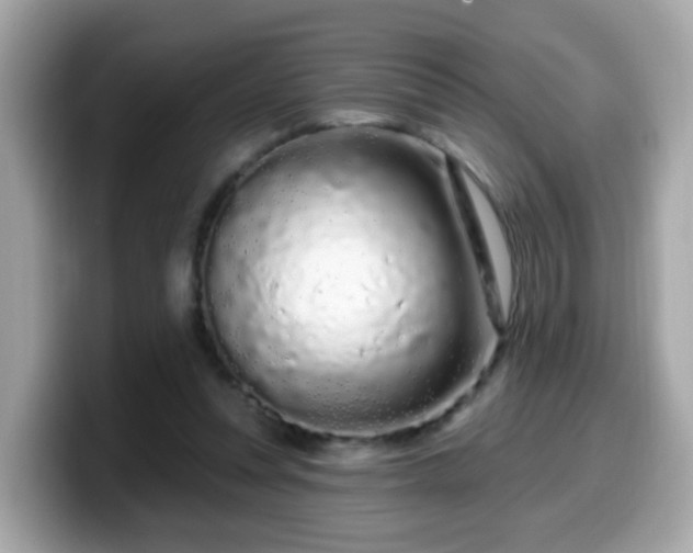 X0000099560351200805231517