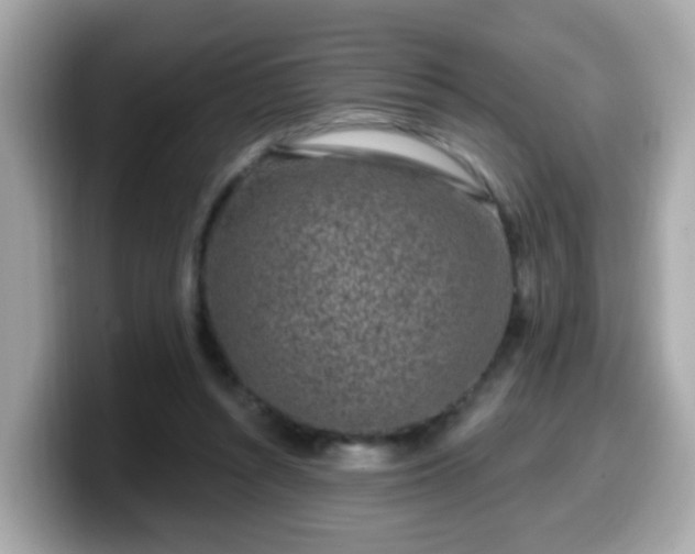 X0000099560352200805231517