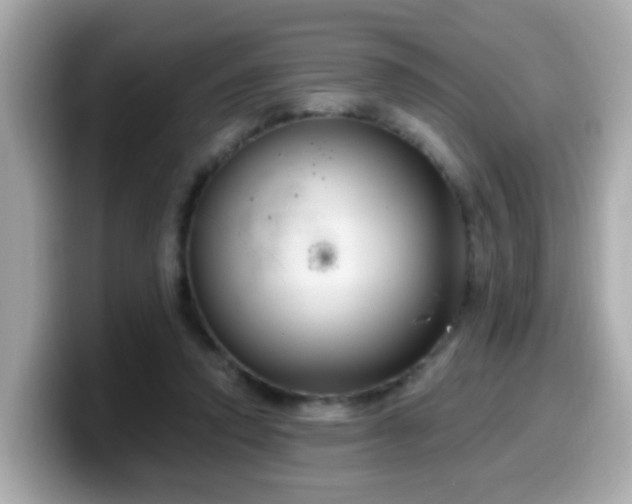 X0000099560354200805231517