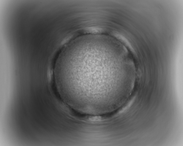 X0000099560355200805231517