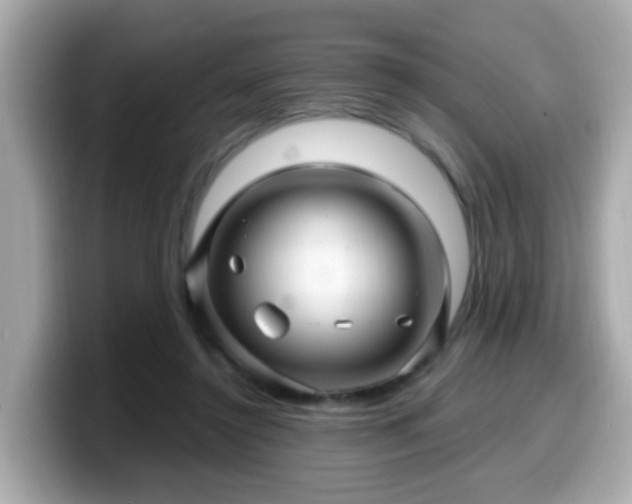 X0000099560356200805231517