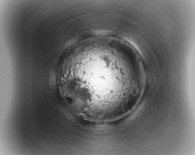 X0000099560357200805231517